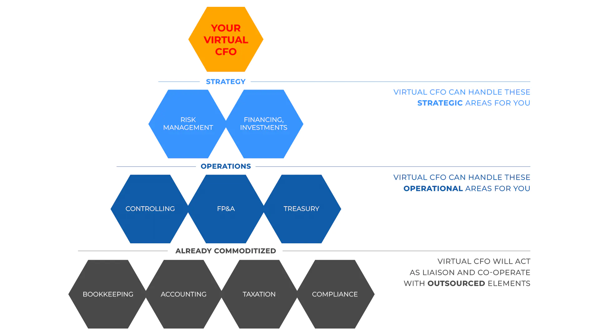 Virtual CFO schematics